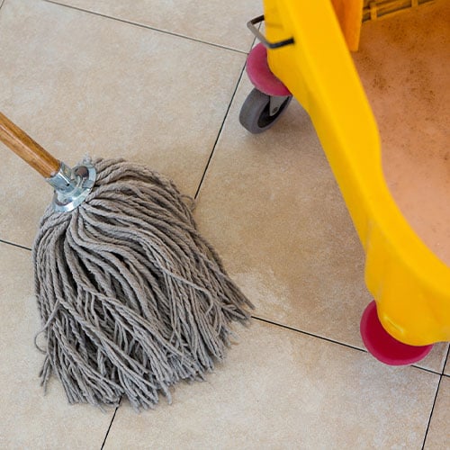 Mop and Bucket for Bulk Floor Cleaning Supplies in The Bronx, NY