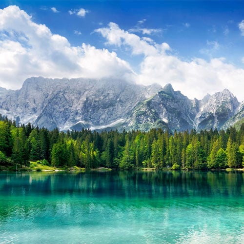 Eco-Friendly Green Cleaning Solutions in Brooklyn, NY